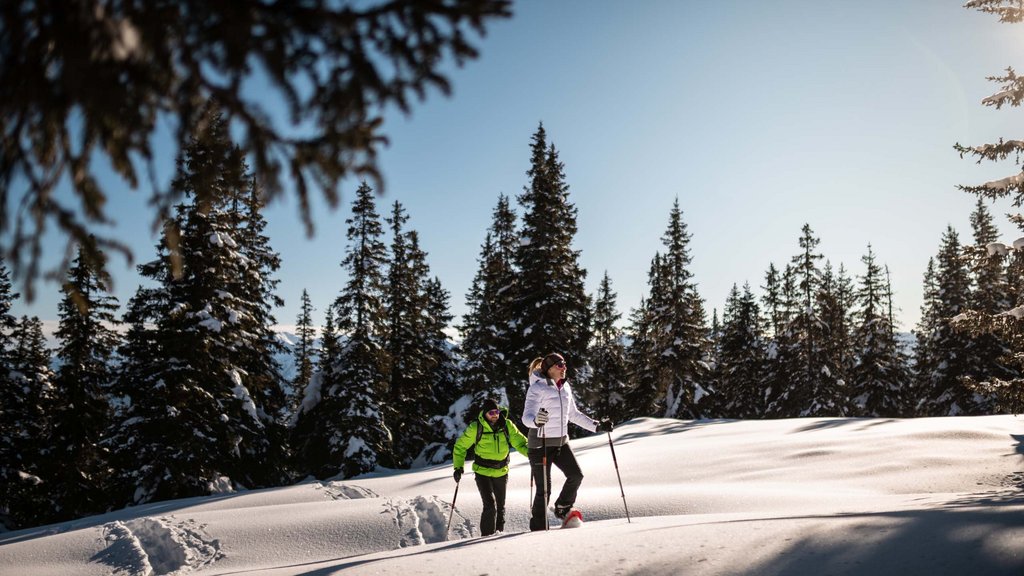 Get your body moving! Two people snowshoeing in a snowy forest under a clear sunny winter sky